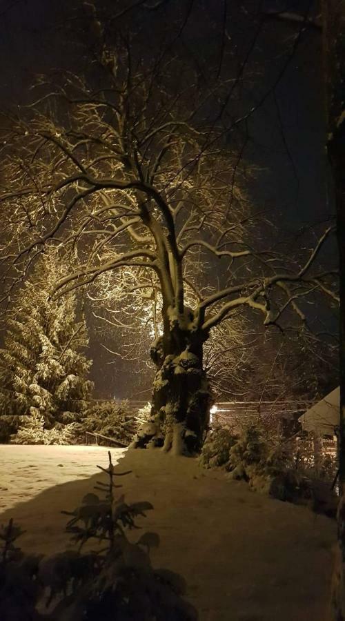 Apartmany Calma Liptovský Mikuláš Exteriör bild